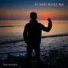 Joe Hayes - If You Want Me - Single
